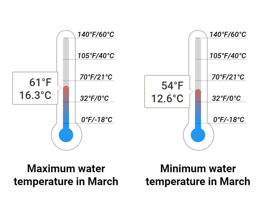 Average Sea temperature